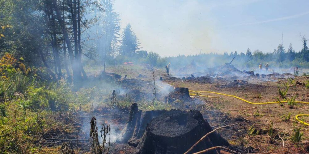 2025-06-15 03 Tausher